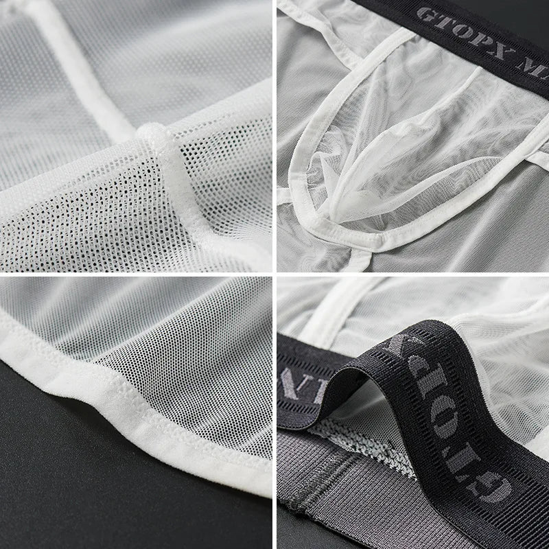 Brief Éden Umbra — Mystère & Transparence